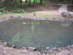 lagoa de concha de imagem