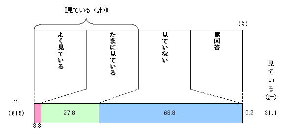 Gráfico do status de visualização do site oficial da cidade