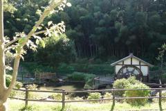 照片：上谷戶親水公園的池塘和水車