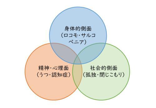 插圖：身體方面（運動功能障礙・肌少症）、精神・心理方面（憂鬱・認知症）、社會方面（孤獨・閉塞）