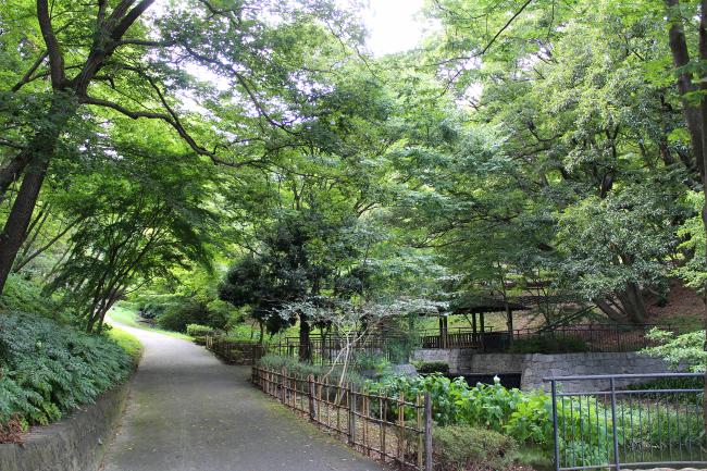 圖像稻城中央公園