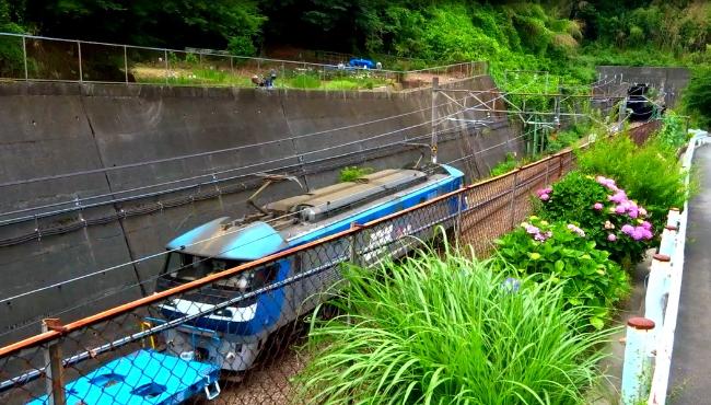 武藏野貨運線機車和繡球花圖片