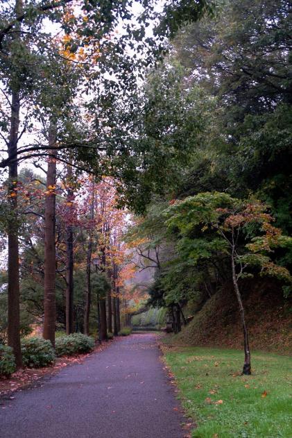 小雨中的城山公園形象