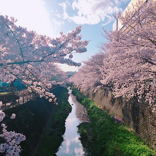 永遠的形象