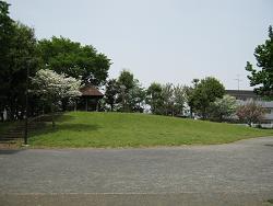 圖片公園景觀1