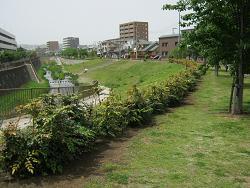 圖片公園景觀 2