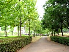 城山公園風景圖片