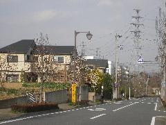 Image Tatedai District 地區規劃